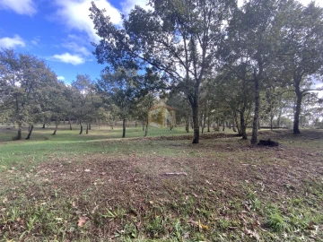 Terreno para Venda em Sabugal e Aldeia de Santo António