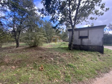 Terreno para Venda em Sabugal e Aldeia de Santo António