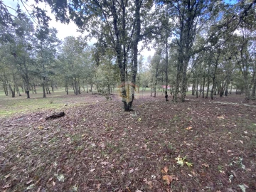 Terreno para Venda em Sabugal e Aldeia de Santo António