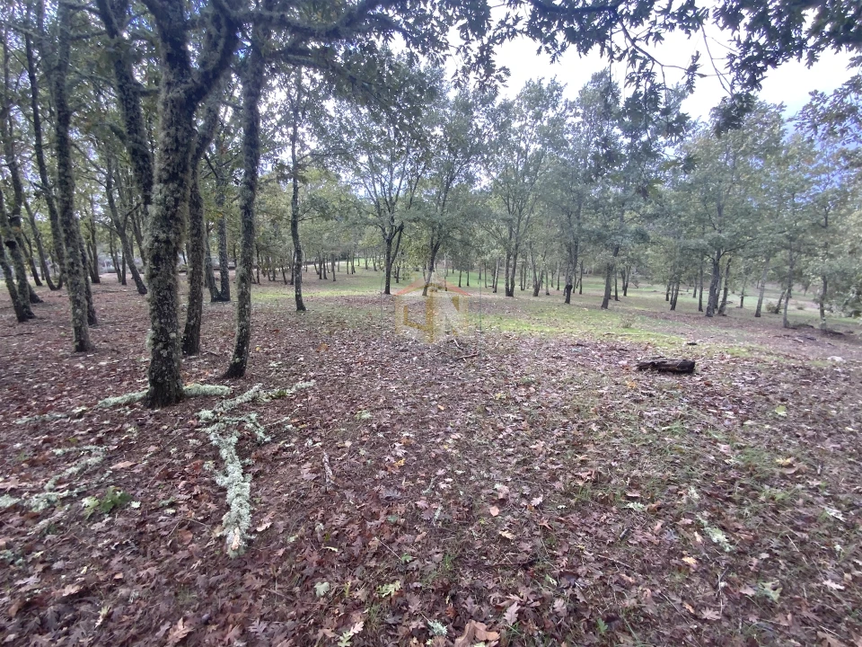 Terreno para Venda em Sabugal e Aldeia de Santo António Foto 18