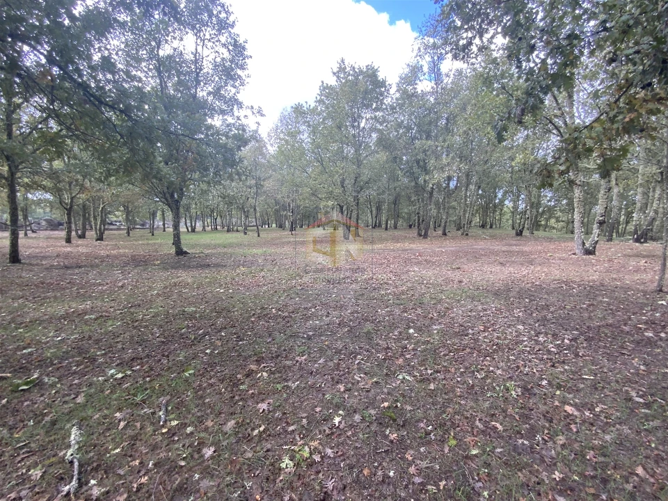 Terreno para Venda em Sabugal e Aldeia de Santo António Foto 17