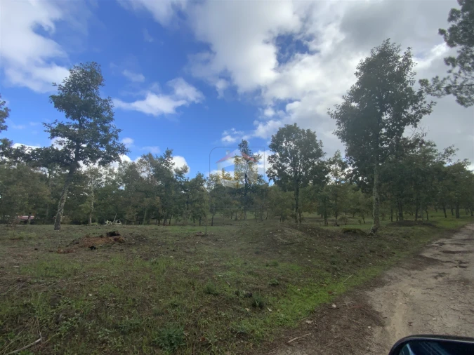 Terreno para Venda em Sabugal e Aldeia de Santo António Foto 8