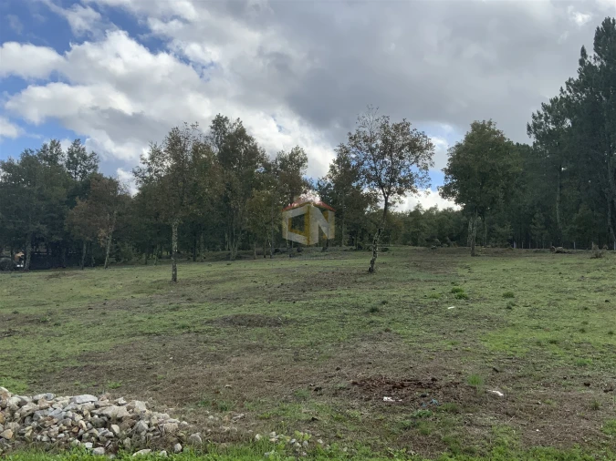 Terreno para Venda em Sabugal e Aldeia de Santo António Foto 6