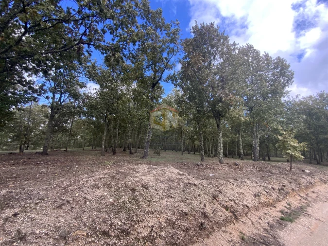 Terreno para Venda em Sabugal e Aldeia de Santo António Foto 13