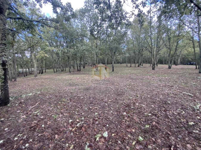 Terreno para Venda em Sabugal e Aldeia de Santo António Foto 20