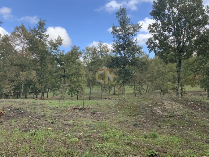 Terreno para Venda em Sabugal e Aldeia de Santo António Foto 7