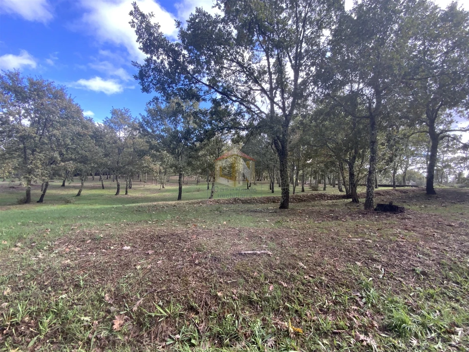 Terreno para Venda em Sabugal e Aldeia de Santo António Foto 10