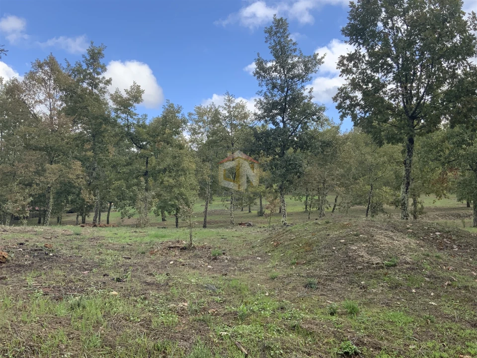 Terreno para Venda em Sabugal e Aldeia de Santo António Foto 7