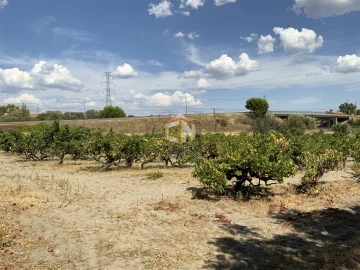 Quinta T0 para Venda em Belmonte e Colmeal da Torre