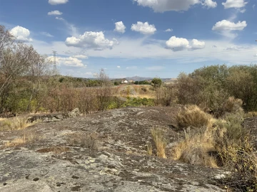 Quinta T0 para Venda em Belmonte e Colmeal da Torre