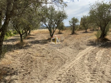 Quinta T0 para Venda em Belmonte e Colmeal da Torre