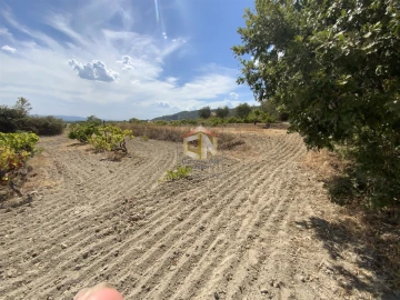 Quinta T0 para Venda em Belmonte e Colmeal da Torre