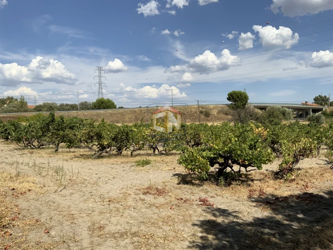 Quinta T0 para Venda em Belmonte e Colmeal da Torre Foto 3