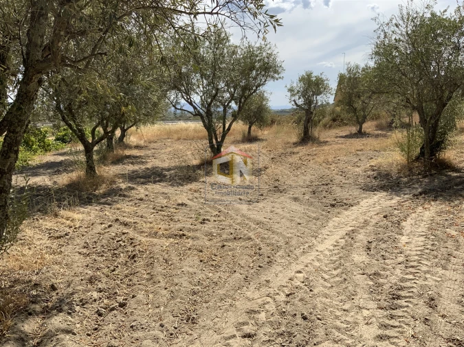 Quinta T0 para Venda em Belmonte e Colmeal da Torre Foto 8