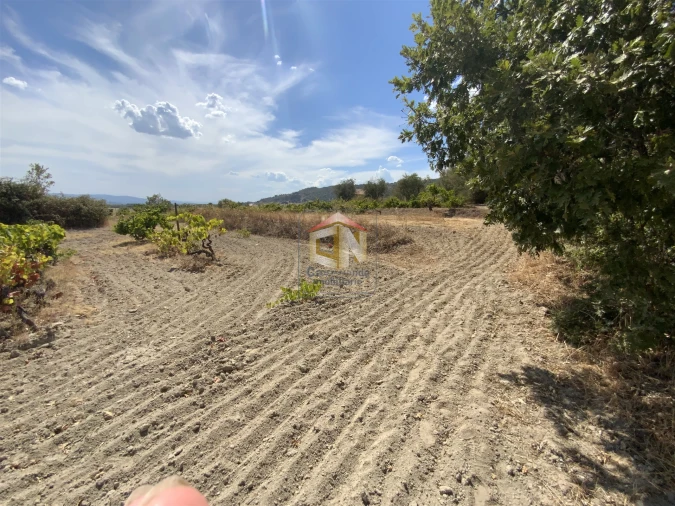 Quinta T0 para Venda em Belmonte e Colmeal da Torre Foto 6