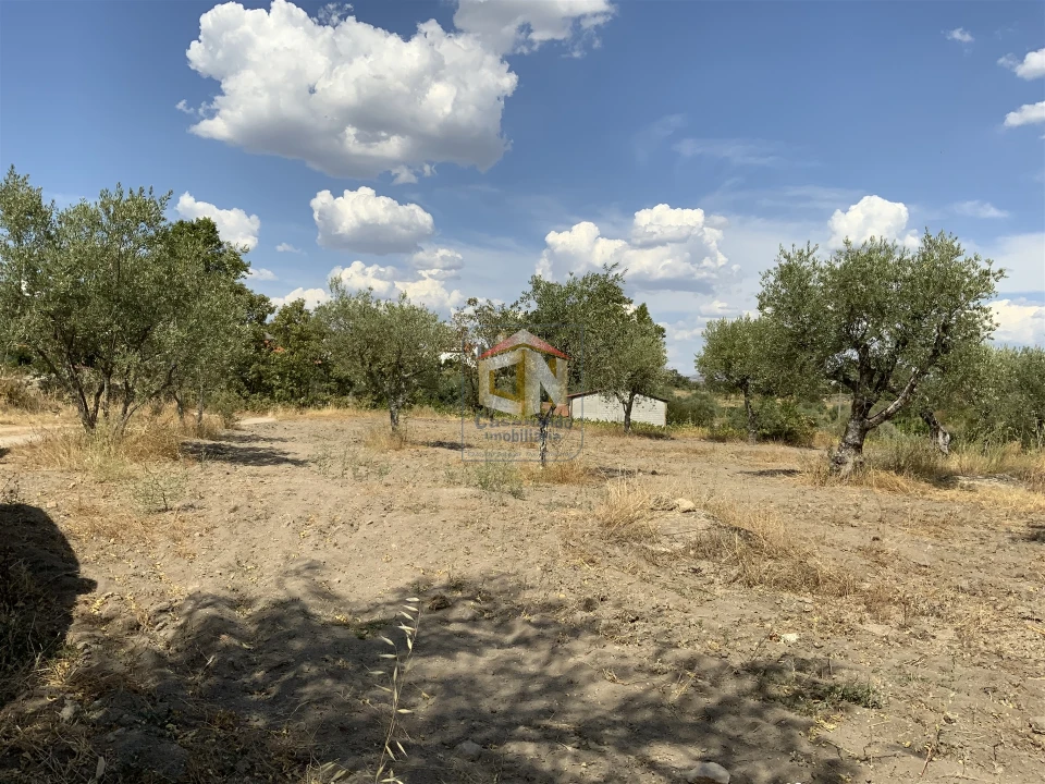 Quinta T0 para Venda em Belmonte e Colmeal da Torre Foto 7