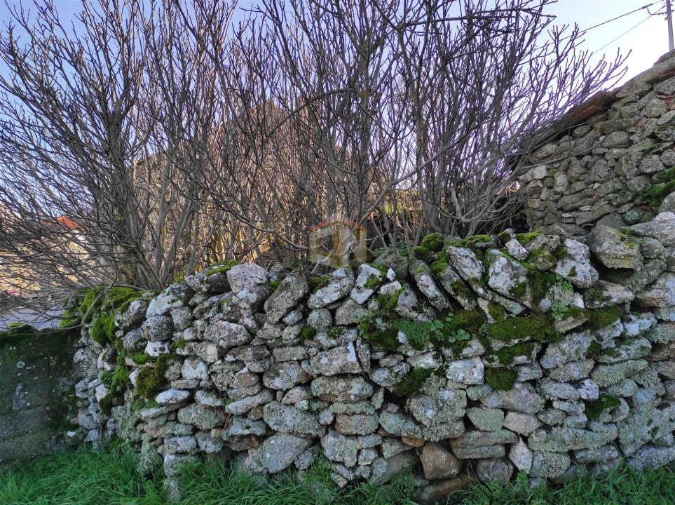 Moradia T0 para Venda em Seixo do Côa e Vale Longo Foto 51