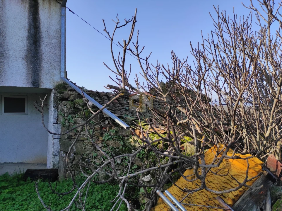 Moradia T0 para Venda em Seixo do Côa e Vale Longo Foto 22
