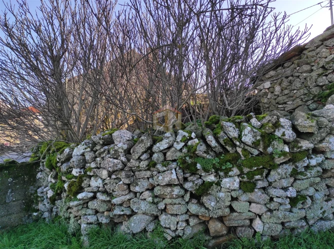 Moradia T0 para Venda em Seixo do Côa e Vale Longo Foto 51