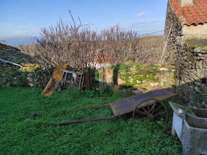 Moradia T0 para Venda em Seixo do Côa e Vale Longo Foto 46