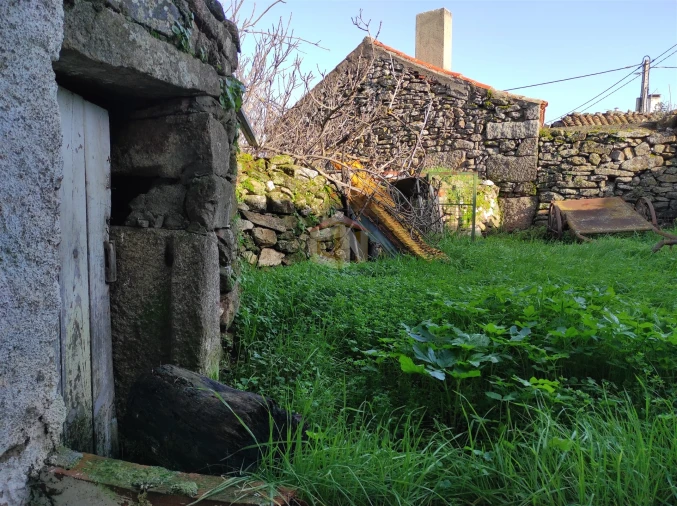 Moradia T0 para Venda em Seixo do Côa e Vale Longo Foto 43