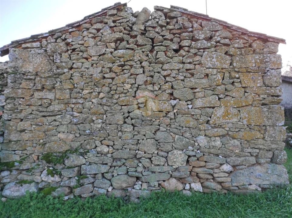 Moradia T0 para Venda em Seixo do Côa e Vale Longo Foto 53