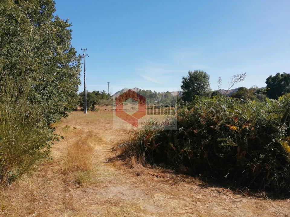 Quinta T0 para Venda em Bendada Foto 32