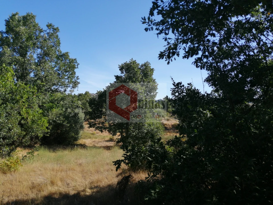 Quinta T0 para Venda em Bendada Foto 16