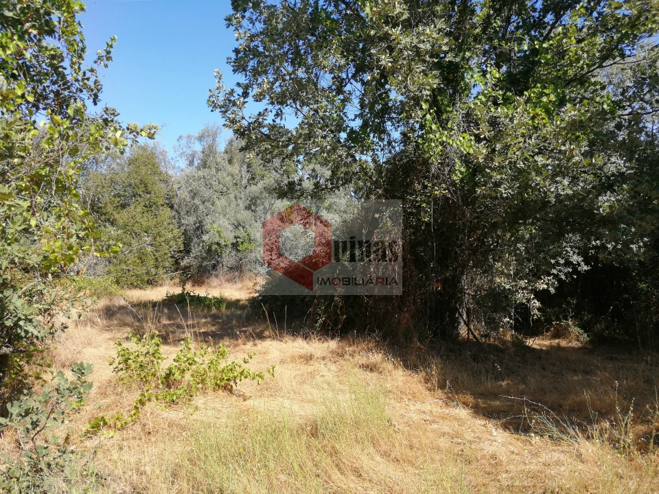 Quinta T0 para Venda em Bendada Foto 12