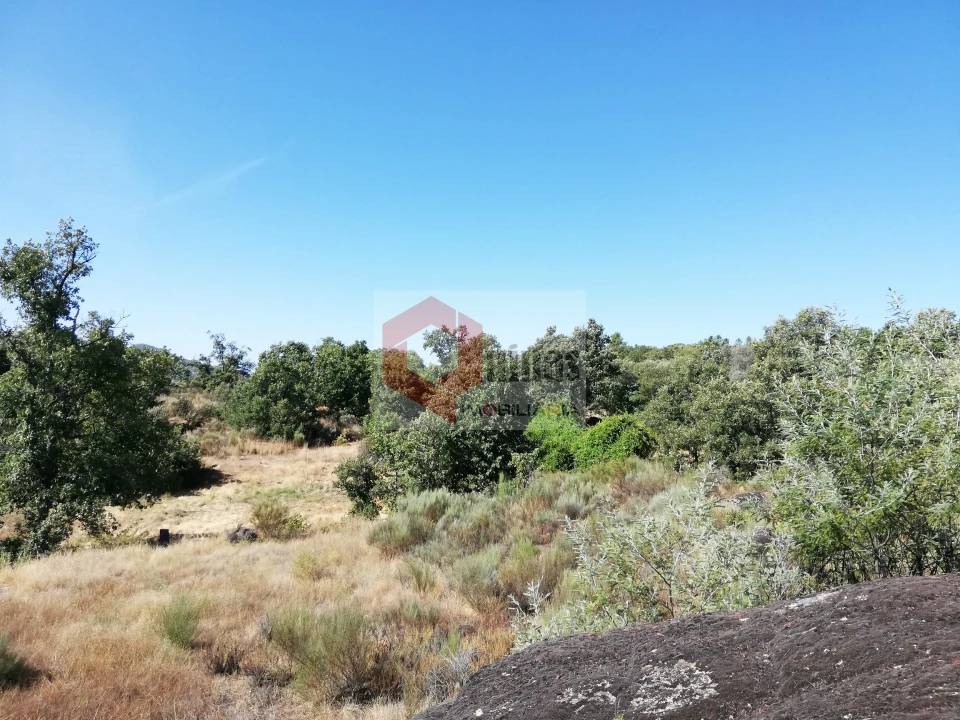 Quinta T0 para Venda em Bendada Foto 29