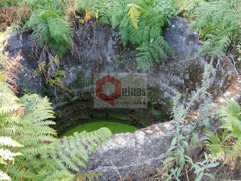 Quinta T0 para Venda em Bendada Foto 22