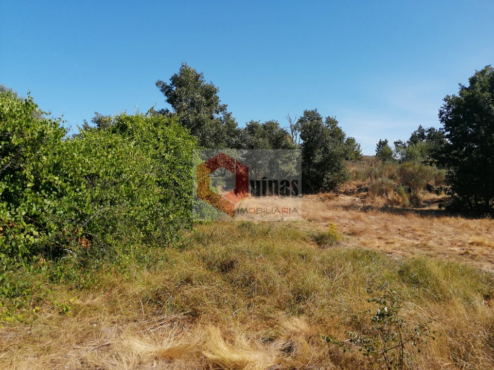 Quinta T0 para Venda em Bendada Foto 11