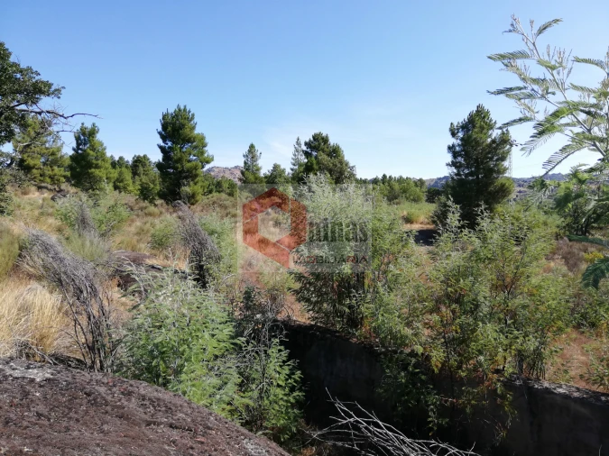 Quinta T0 para Venda em Bendada Foto 27