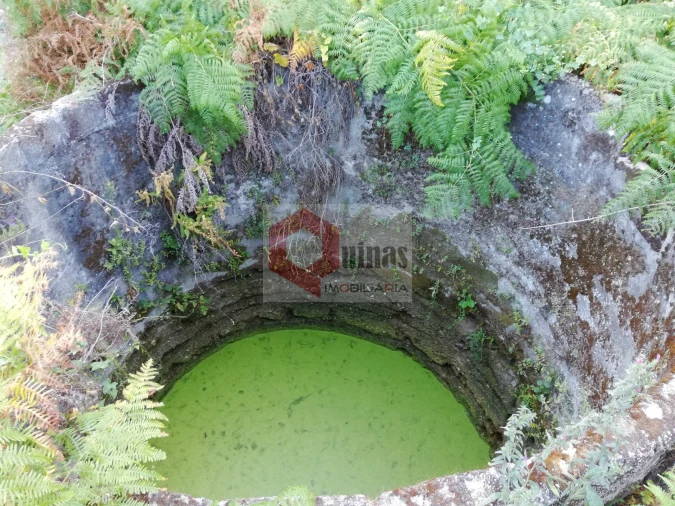 Quinta T0 para Venda em Bendada Foto 23