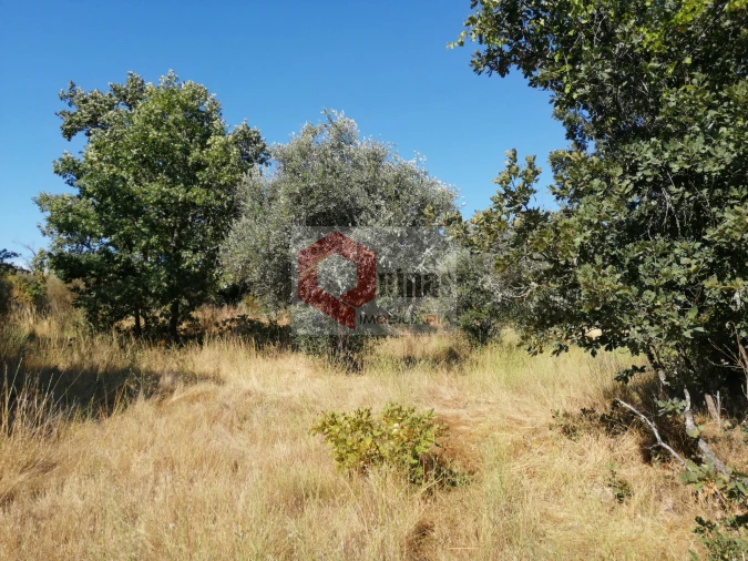 Quinta T0 para Venda em Bendada Foto 15