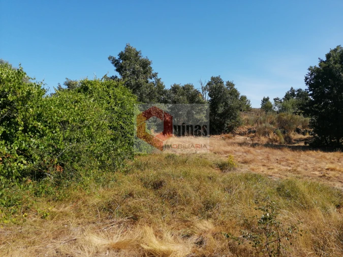 Quinta T0 para Venda em Bendada Foto 11