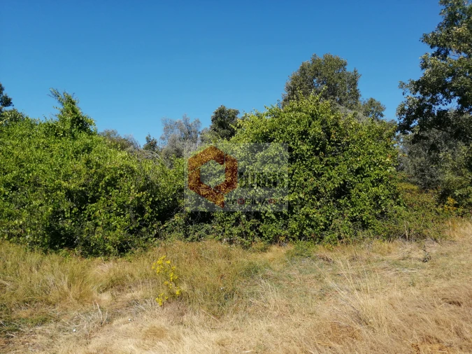 Quinta T0 para Venda em Bendada Foto 8