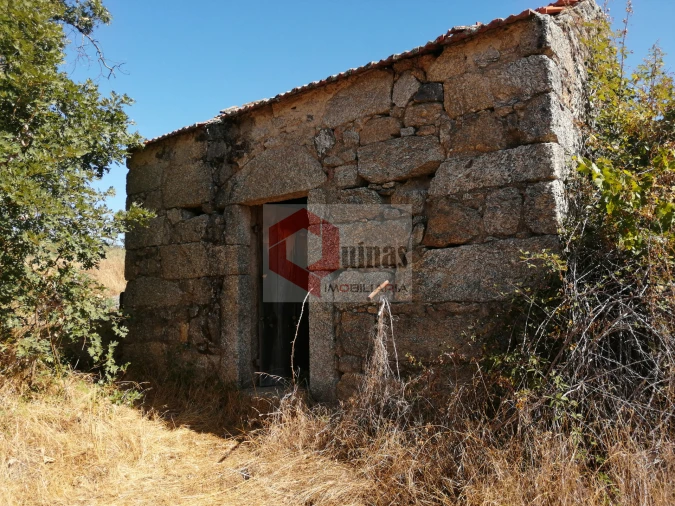 Quinta T0 para Venda em Bendada Foto 1