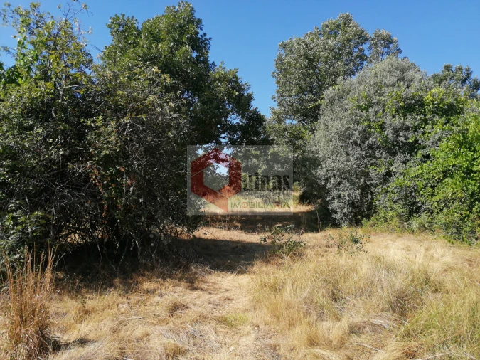 Quinta T0 para Venda em Bendada Foto 10