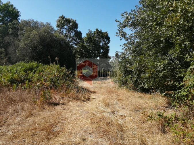 Quinta T0 para Venda em Bendada Foto 21