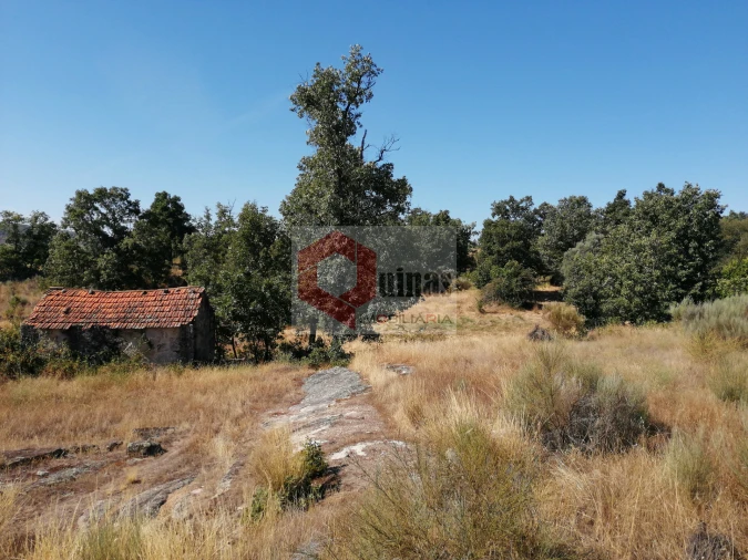 Quinta T0 para Venda em Bendada Foto 34