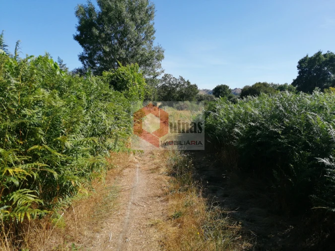 Quinta T0 para Venda em Bendada Foto 33