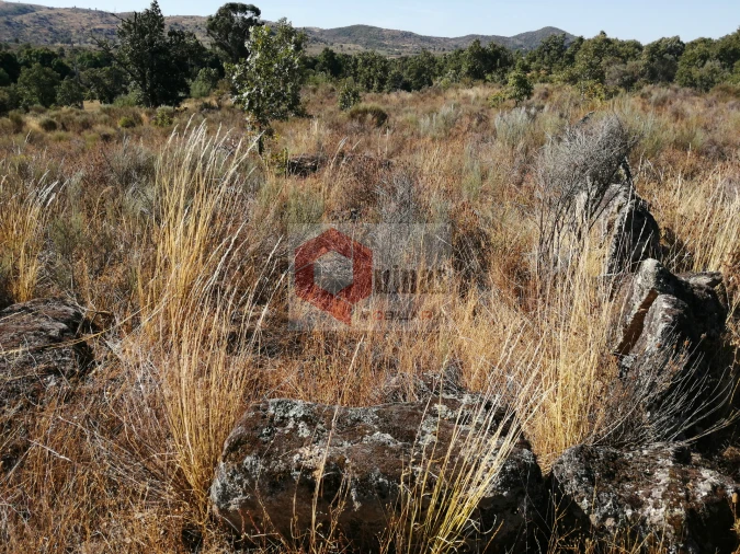 Quinta T0 para Venda em Bendada Foto 4
