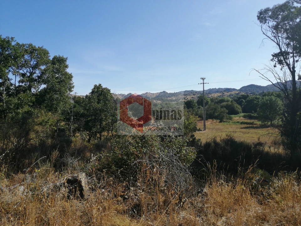 Quinta T0 para Venda em Bendada Foto 17