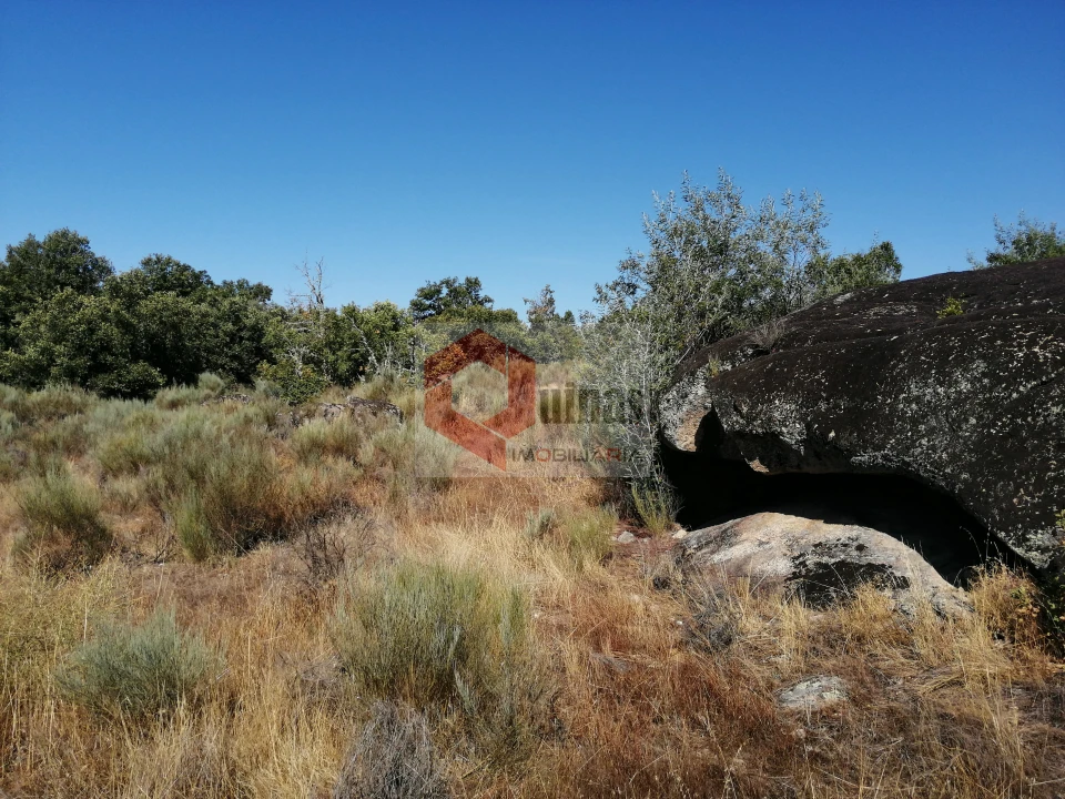 Quinta T0 para Venda em Bendada Foto 36