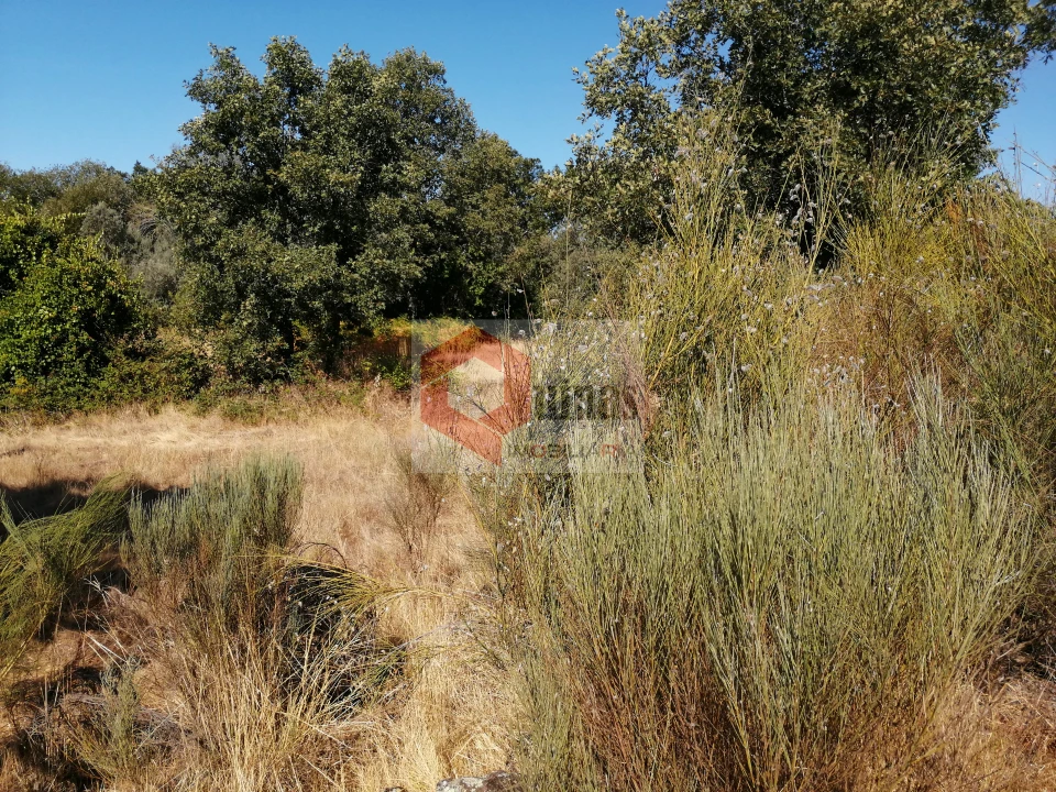 Quinta T0 para Venda em Bendada Foto 7