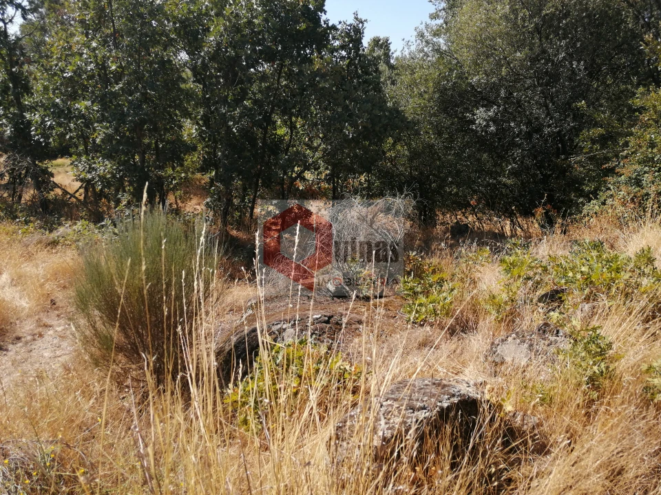 Quinta T0 para Venda em Bendada Foto 5