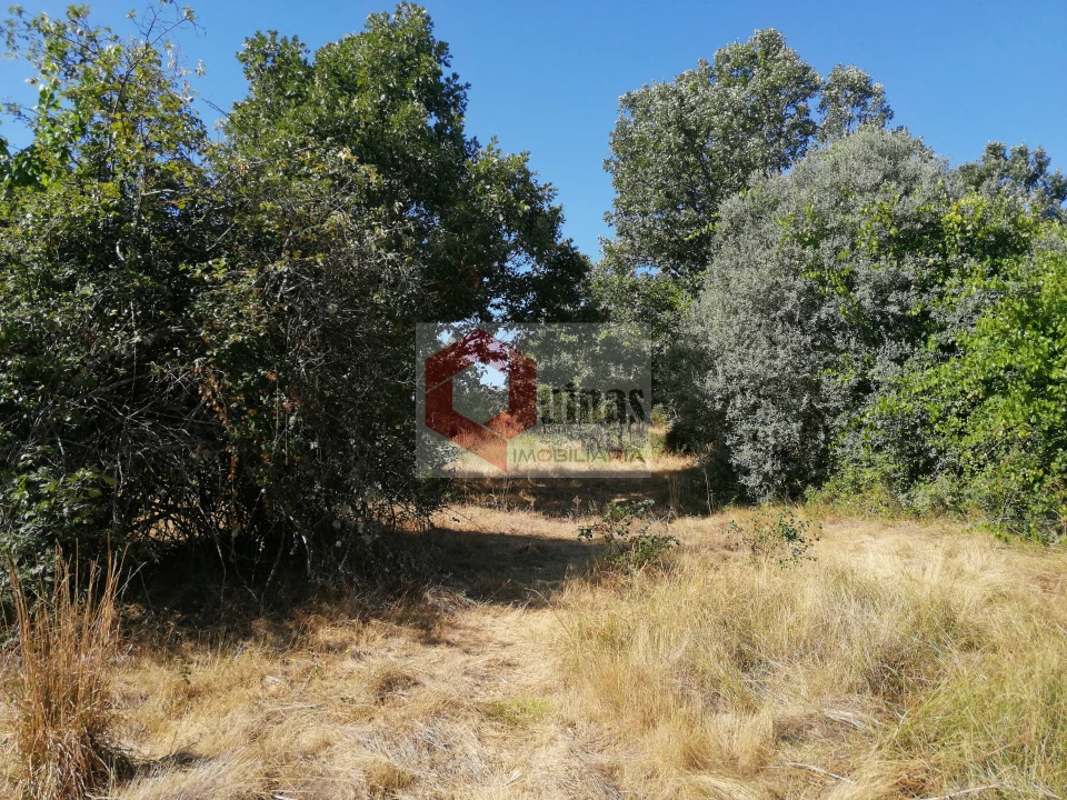 Quinta T0 para Venda em Bendada Foto 10