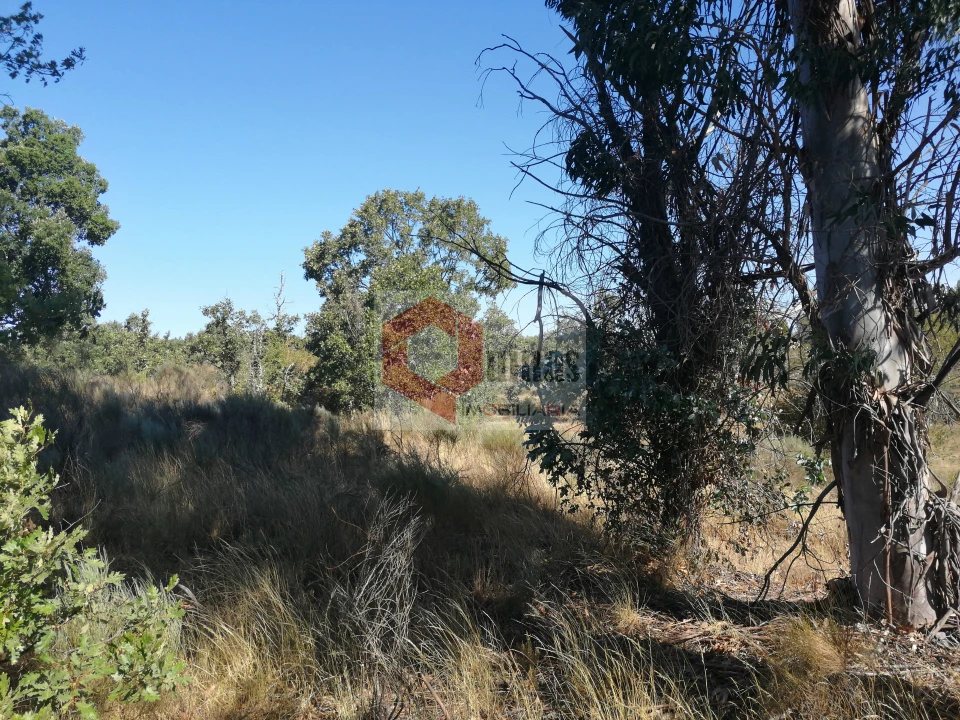 Quinta T0 para Venda em Bendada Foto 18