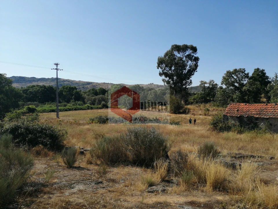 Quinta T0 para Venda em Bendada Foto 28